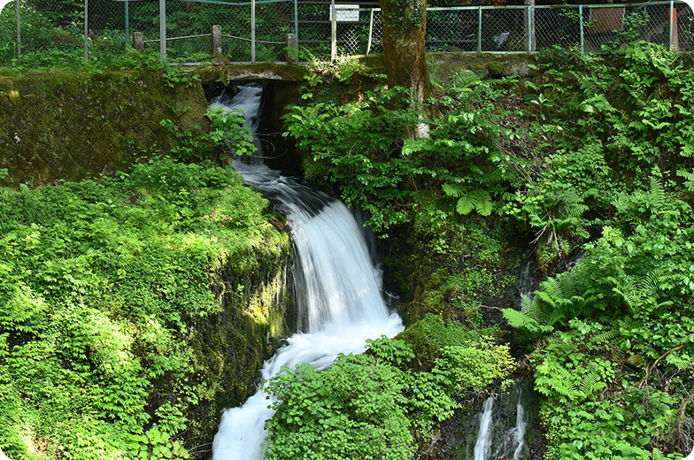 日本名水百選「箱島湧水」